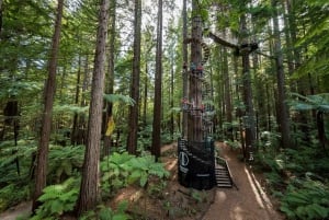 Rotorua: Redwoods Altitude High Ropes Adventure