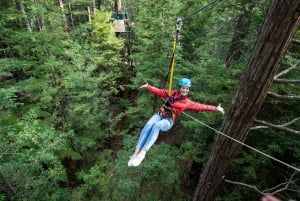 Rotorua: Altitud de las secuoyas, Pase rápido nocturno y Paseo por los árboles