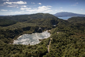 Rotorua: Scenic Flight over Mt Tarawera & Waimangu Valley