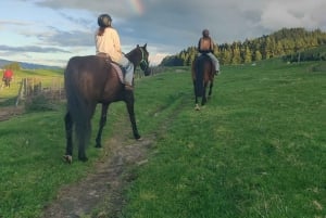 Rotorua: Malerischer Pferderitt