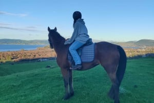 Rotorua: Malerischer Pferderitt