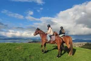 Rotorua: Malerischer Pferderitt