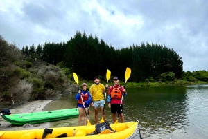 Rotorua: Ponto secreto de caiaque até as fontes termais naturais