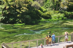 Rotorua & Taupo Tagestour Waiotapu & Huka Falls ab Auckland