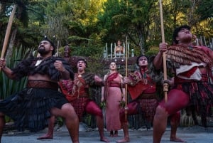 Rotorua: Te Pa Tu Māori Culturele ervaring met diner
