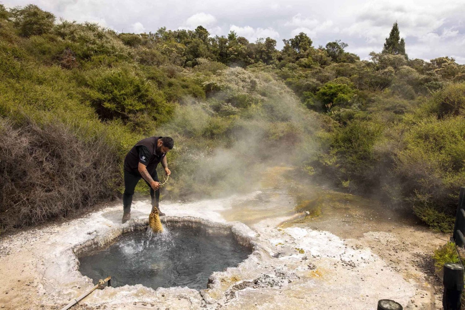Rotorua : visite de la vallée géothermique de Te Puia avec spectacle culturel