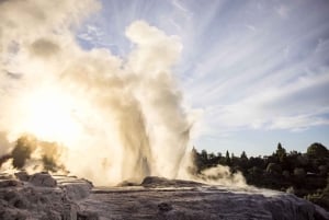 Rotorua: Te Puia Geothermal Valley Tour met culturele show