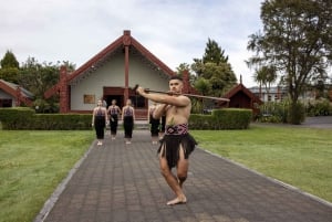 Rotorua: Te Puia Geothermal Valley Tour met culturele show
