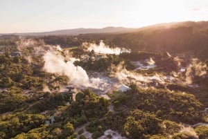 Rotorua: Te Puia Geothermal Valley Tour met culturele show