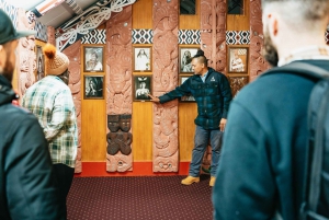 Rotorua: Te Puia Geyser Night Walking Tour