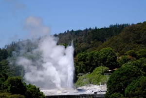 Rotorua: Te Puia Maori Village and Rejuvenation Tour