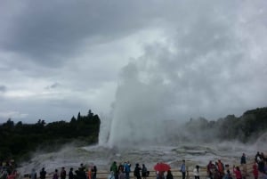 Rotorua: Te Puia Maori Village and Rejuvenation Tour