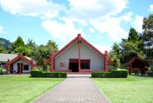 Rotorua: Te Puia Maori Village and Rejuvenation Tour