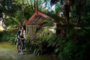 Rotorua: The Buried Village of Te Wairoa