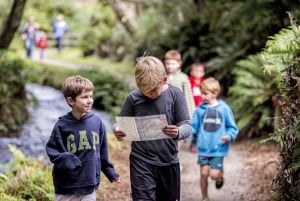 Rotorua : Le village enterré de Te Wairoa