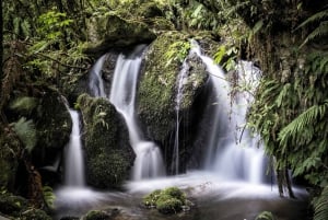 Rotorua : Le village enterré de Te Wairoa