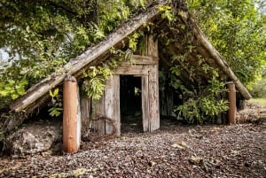 Rotorua : Le village enterré de Te Wairoa