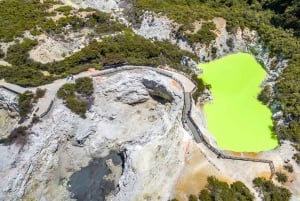 Rotorua: über WaiOTapu, Taupo und Hamilton Gardens nach Auckland