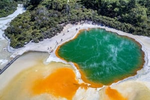 Rotorua: über WaiOTapu, Taupo und Hamilton Gardens nach Auckland