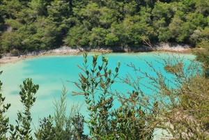 Rotorua & Taupo Tours:, Besök naturliga varma källor och gejsrar