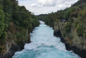 Rotorua & Taupo Tours:, Visit Natural Hot Springs & Geysers