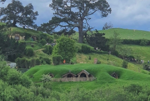 Rotorua & Taupo Tours:, Visit Natural Hot Springs & Geysers