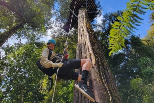 Rotorua: Ultimate Guided Zipline Tour w/ Volcanic Cliff Walk
