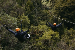 Rotorua: Ultimate Guided Zipline Tour w/ Volcanic Cliff Walk