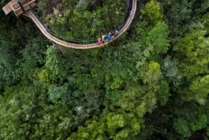 Rotorua: Ultimate Guided Zipline Tour w/ Volcanic Cliff Walk