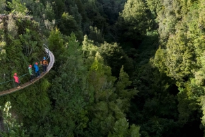 Rotorua: Ultimate Guided Zipline Tour w/ Volcanic Cliff Walk