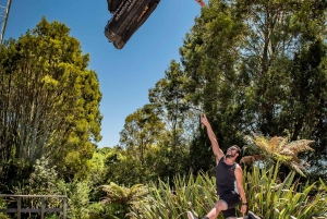 Rotorua: Velocity Valley Family Packages 6, 8, 10