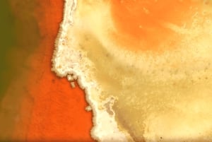 Fra Auckland: TRIPLE DEAL Wai-O-Tapu, Redwood & Blue Springs