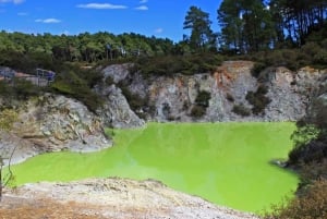 Fra Auckland: TRIPLE DEAL Wai-O-Tapu, Redwood & Blue Springs