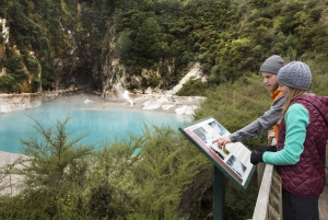 Rotorua: Waimangu Volcanic Valley Ticket & Self-Guided Walk