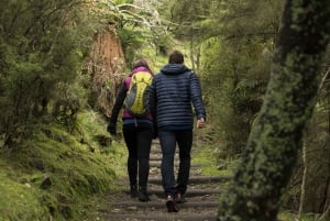 Rotorua: Waimangu Volcanic Valley Ticket & Self-Guided Walk