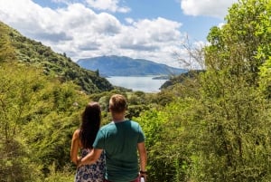 Rotorua: Waimangu Volcanic Valley Ticket & Self-Guided Walk