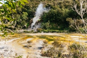 Rotorua: Waimangu Volcanic Valley Ticket & Self-Guided Walk