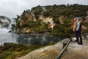 Rotorua: Waimangu Volcanic Valley Ticket & Self-Guided Walk