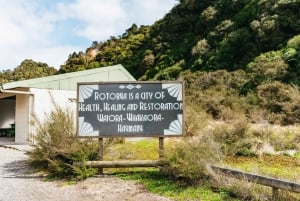 Rotorua: Waimangu Volcanic Valley Ticket & Self-Guided Walk