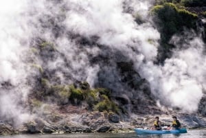 Rotorua: Waimangu Valley Walk and Steaming Cliffs Kayak Tour