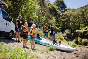 Rotorua: Guided Waimangu Walk and Steaming Cliffs Kayak Tour