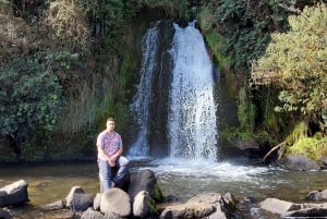 Rotorua (:) Guidad promenader i Whirinaki-skogen med lokalbefolkningen