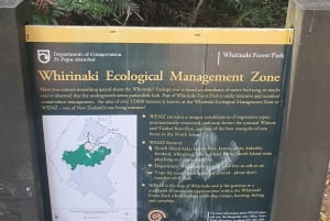 Rotorua (:) Guidad promenader i Whirinaki-skogen med lokalbefolkningen