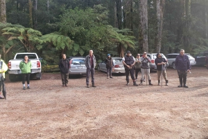 Rotorua (:) Guidad promenader i Whirinaki-skogen med lokalbefolkningen