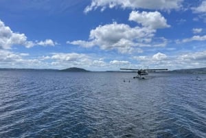 Rotorua: White Island, Mount Tarawera & Waimangu vulkaniska ...