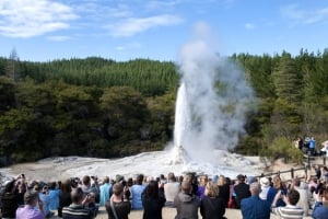 Social Nature Movement - Auckland to Rotorua Geothermal Wonderlands