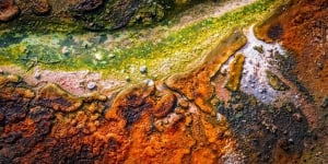 Social Nature Movement - Auckland to Rotorua Geothermal Wonderlands