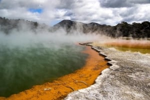 Social Nature Movement - Auckland to Rotorua Geothermal Wonderlands