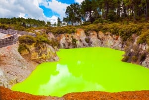 Social Nature Movement - Auckland to Rotorua Geothermal Wonderlands
