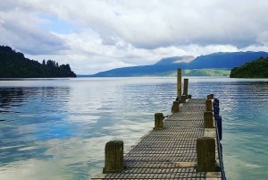 Tarawera and Lakes 2-Hour Duck Eco Tour